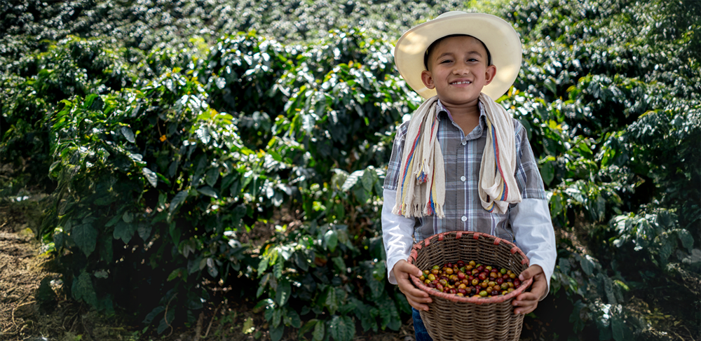 Dünya Lezzetlerinden Colombia Coffee