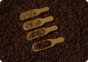 Fransız Vanilyalı Filtre Kahve: Zarif Aromasıyla Eşsiz Bir Deneyim