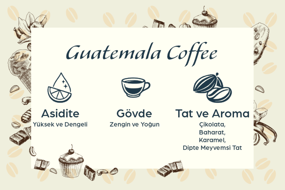 Pacifica Coffee Guatemala Filtre Kahve