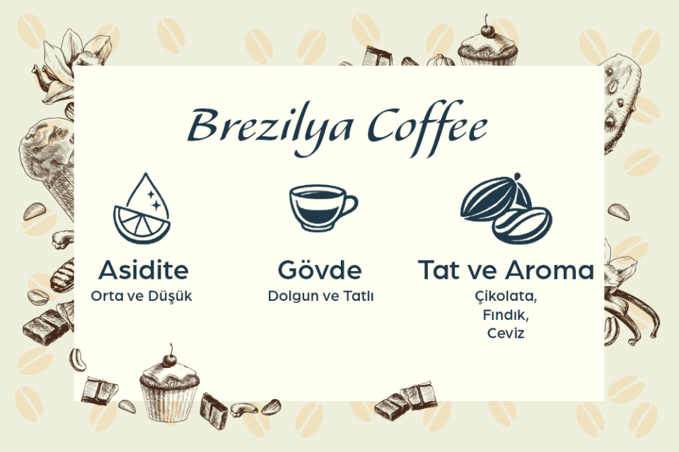 Pacifica Coffee Brazil Filtre Kahve