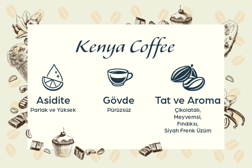 Pacifica Coffee Kenya Filtre Kahve